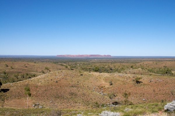 AustraliaAdelaide 10  100